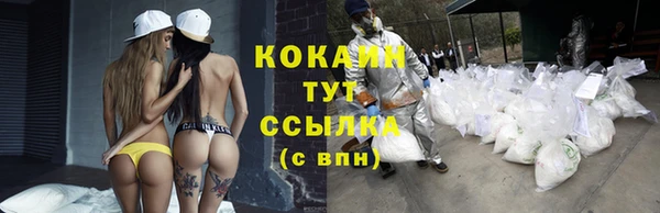 не бодяженный Корсаков